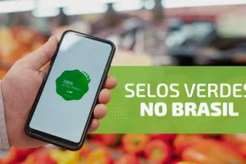 Selo Verde Brasil, ótima ação do MDIC em parceria com ABDI e Sebrae - Imagem