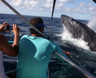 10 mil turistas devem vir à Bahia em 2024 para ver baleias