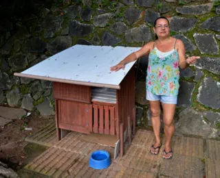 Acolhimento responsável muda a lógica da proteção