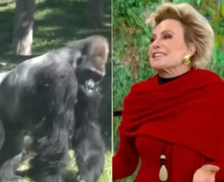 Ana Maria fica chocada ao descobrir tamanho de pênis de gorila: "Só?"