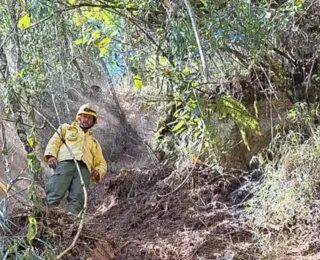 Após oito dias, incêndio no Parque Nacional do Itatiaia é extinto