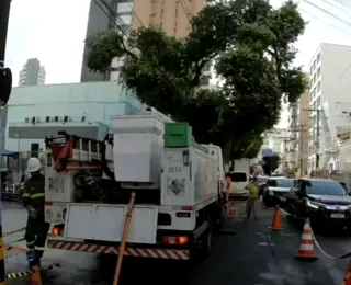 Árvore cai na Graça e provoca interrupção de energia no bairro