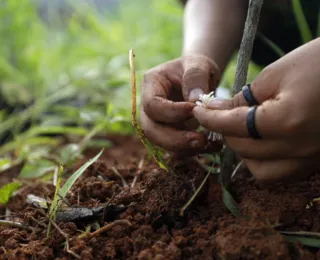 Agricultura familiar ganha destaque na Bahia Farm Show 2025