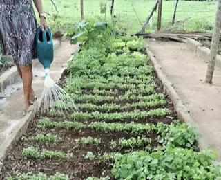 Bahia inclui mais 67 famílias no programa de reforma agrária