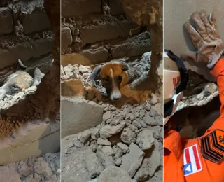 Bombeiros quebram parede e resgatam cachorro preso entre duas casas