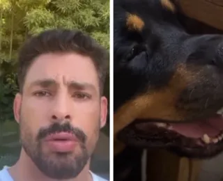 Cachorro do ator Cauã Reymond morre após envenenamento