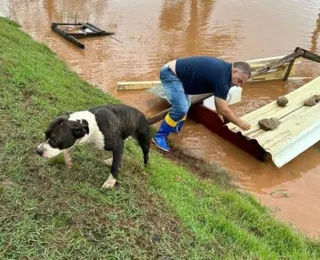 Cachorro salvo de enchente no RS fica 'nadando' no ar após resgate
