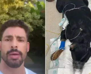 Cachorros de Cauã Reymond são envenenados: 'Não consigo entender'