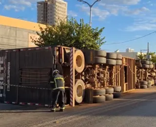 Caminhão que transportava bois tomba em rodovia na Bahia