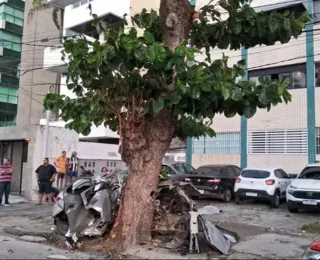 Cinco pessoas morrem após carro sair da pista e bater em árvore