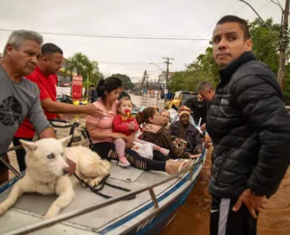 Drama de humanos e animais mobiliza baianos por doação