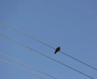 Energia livre, mais barata e sustentável