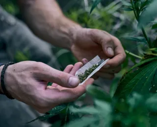 Entenda se a maconha será liberada após descriminalização no STF