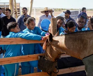 Estudantes conhecem vivências  do campo na Bahia Farm Show