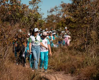 Estudantes de LEM fazem caminhada na Trilha do Tatu