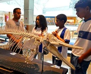 Exposição  sustentável celebra Semana do Meio Ambiente