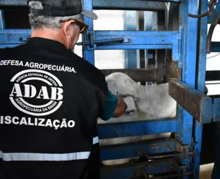 Governo da Bahia convoca inscritos no concurso da Adab para provas