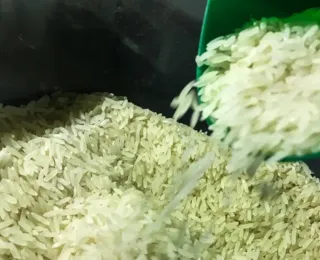 Governo erra ao lançar arroz importado com sua marca!