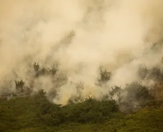 Governo vai liberar R$ 100 mi para combate a incêndios no Pantanal