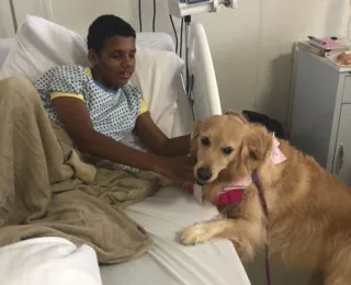 Hospital Ortopédico do Estado implementa terapia assistida por animais
