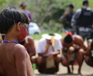 Indígenas são os que possuem territórios mais bem preservados
