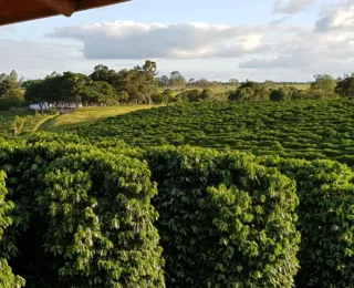 Lula cria o Dia de Pelé, quando Barra do Choça vira a Capital do Café