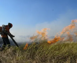 Mato Grosso do Sul decreta situação de emergência no Pantanal