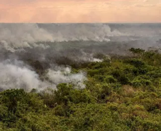 Pantanal poderá ter crise hídrica histórica em 2024, aponta estudo