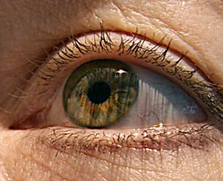 Pesquisa revela que latino-americanos desconhecem doenças da retina