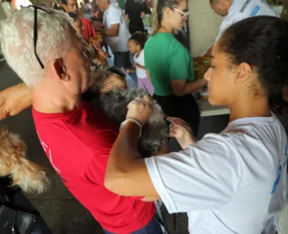 Quer salvar vidas de animais? Veja como se tornar um herói voluntário