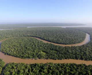 Justiça bloqueia R$ 292 mi de pecuarista por desmatamento e queimadas