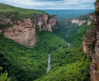 Serra da Chapadinha: Bahia pode ter nova área de conservação ambiental