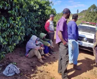 Trabalhadores da Bahia são resgatados em lavouras de café em MG