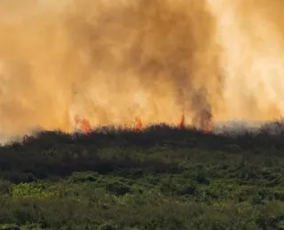 "Uma das piores situações já vistas", diz Marina Silva sobre incêndios