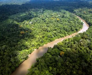 União Europeia doa 20 milhões de euros ao Fundo Amazônia