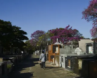Viver entre sepulturas: Mulher chama cemitério de lar há 21 anos