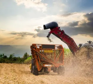 Edital destinará R$ 42 milhões para projetos estruturantes do agro baiano - Imagem