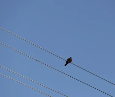 Energia livre, mais barata e sustentável - Imagem