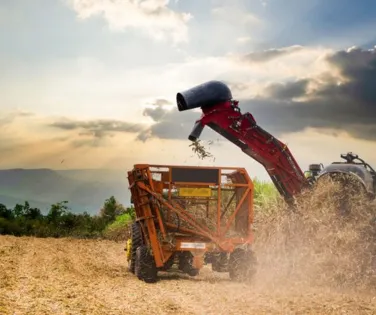 Exportações do agronegócio brasileiro atingem US$ 82,39 bi no semestre - Imagem