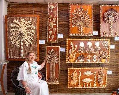 Ana Laura Lacerda planeja mostra itinerante sobre conchas pelo Brasil
