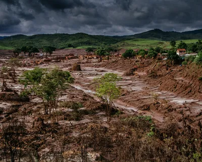Fieb e Sebrae apoiam o setor empresarial na consciência ambiental