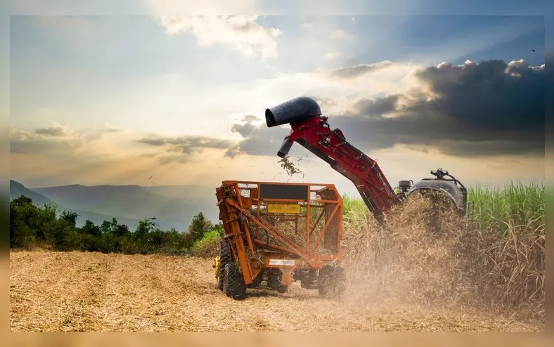 Edital destinará R$ 42 milhões para projetos estruturantes do agro baiano - Imagem