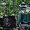 Concurso do Ibama: resultados de provas são divulgados - Imagem