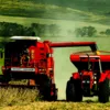 Ninguém ganha a nova ‘Agro Olimpíada’ sozinho - Imagem