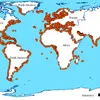 Potencialidades e fragilidades do sistema portuário - Imagem