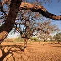 Brasil será afetado por mudança brusca de temperatura na Antártida imagem