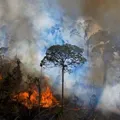 Queimadas no Brasil: chamas atingiram área do tamanho da Paraíba imagem