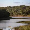 Governo contrata empresa responsável pela requalificação do Parque Pituaçu imagem