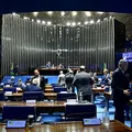Senado aprova PEC que perdoa multas e cotas raciais de partidos imagem