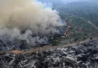 Amazônia tem área equivalente ao território colombiano desmatado